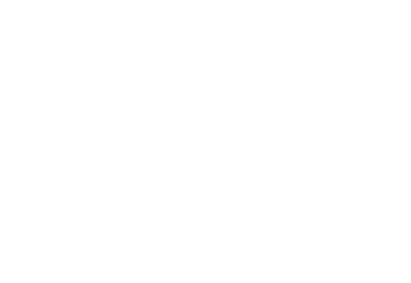 Lalingerie